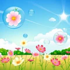 Flower Sun Sky Cloud Photography Scenery Backdrop Nature Theme Banner IYC-909