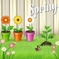 Flower Grass Butterfly Photography Scenery Backdrop Nature Theme Banner IYC-911