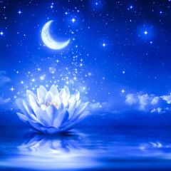 Moon Flower Photography Scenery Backdrop Night Theme Banner IYC-912