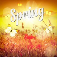 Flower Grass Sunshine Photography Scenery Backdrop Nature Theme Banner IYC-916