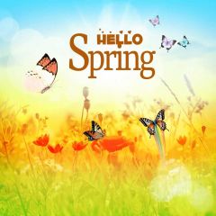 Butterfly Flower Grass Photography Scenery Backdrop Nature Theme Banner IYC-917