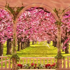 Flower Arch Fence Photography Scenery Backdrop Flowers Theme Banner IYC-923