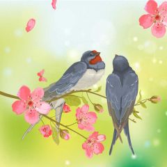 Flower Bird Photography Scenery Backdrop Nature Theme Banner IYC-925