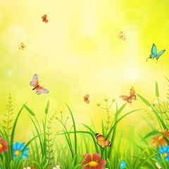 Butterfly Sunshine Grass Photography Scenery Backdrop Nature Theme Banner IYC-928