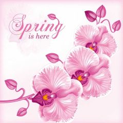 Flower Pink Photography Scenery Backdrop Flowers Theme Banner IYC-930