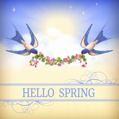 Flower Bird Sunshine Photography Scenery Backdrop Birthday Party Theme Banner IYC-935