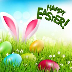 Rabbit's Ear Egg Grass Photography Scenery Backdrop Festival Celebration Theme Banner IYC-939