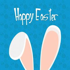 Rabbit's Ear Photography Scenery Backdrop Festival Celebration Theme Banner IYC-941