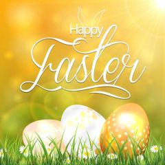 Egg Grass Sunshine Photography Scenery Backdrop Festival Celebration Theme Banner IYC-942