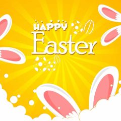 Rabbit's Ear Sunshine Photography Scenery Backdrop Festival Celebration Theme Banner IYC-944