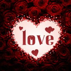 Heart Love Flower Photography Scenery Backdrop Love Theme Banner IYC-947