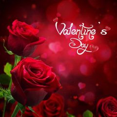 Rose Love Photography Scenery Backdrop Love Theme Banner IYC-949