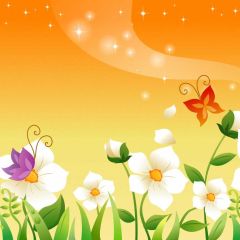 Flower Butterfly Star Photography Scenery Backdrop Flowers Theme Banner IYC-953