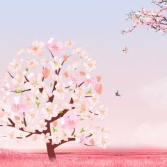 Flower Bird Land Photography Scenery Backdrop Flowers Theme Banner IYC-954