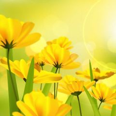 Flower Sunshine Photography Scenery Backdrop Flowers Theme Banner IYC-955