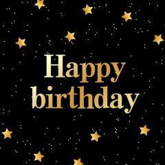 Birthday Star Photography Scenery Backdrop Birthday Party Theme Banner IYC-971