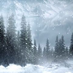 Snowy Mountain Photography Scenery Backdrop Snow Theme Banner MNH-005