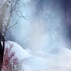 Romantic Snow Photography Scenery Backdrop Snow Theme Banner MNH-008