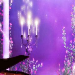 Romantic Candles Photography Scenery Backdrop Love Theme Banner MNH-018