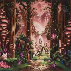 Lovely Wonderland Photography Scenery Backdrop Fantasy Theme Banner MNH-021