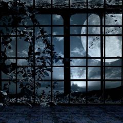 Spooky Window Photography Scenery Backdrop Halloween Theme Banner MNH-024