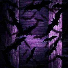 Spooky Bats Photography Scenery Backdrop Halloween Theme Banner MNH-025