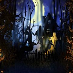 Spooky Night Photography Scenery Backdrop Halloween Theme Banner MNH-026