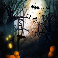 Haunted Night Photography Scenery Backdrop Halloween Theme Banner MNH-027
