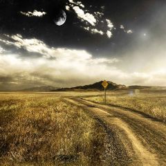 Quiet Street Photography Scenery Backdrop Road Theme Banner MNH-029