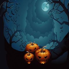 Spooky Pumpkin Photography Scenery Backdrop Halloween Theme Banner MNH-030