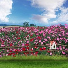 Sweet Garden Photography Scenery Backdrop Flowers Theme Banner MNH-032