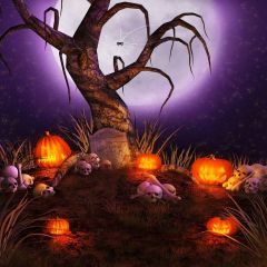 Haunted Pumpkins Photography Scenery Backdrop Halloween Theme Banner MNH-033