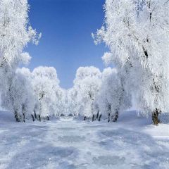 Icy Forest Photography Scenery Backdrop Snow Theme Banner MNH-034