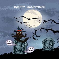 Grave With Owl Photography Scenery Backdrop Halloween Theme Banner MNH-035