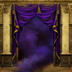 Gorgeous Curtain Photography Scenery Backdrop Indoor Theme Banner MNH-037