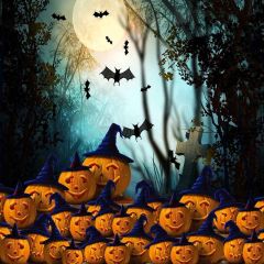 Fearful Pumpkins Photography Scenery Backdrop Halloween Theme Banner MNH-040