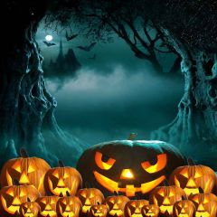 Vicious Pumpkins Photography Scenery Backdrop Halloween Theme Banner MNH-041