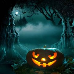 Dreadful Pumpkins Photography Scenery Backdrop Halloween Theme Banner MNH-043