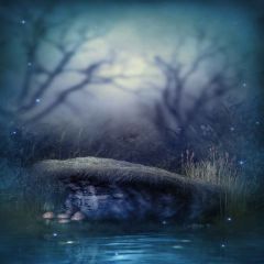 Fancy Riverside Photography Scenery Backdrop Nature Theme Banner MNH-045