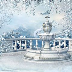 Snowy Balcony Photography Scenery Backdrop Snow Theme Banner MNH-047