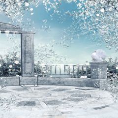 Icy Balcony Photography Scenery Backdrop Snow Theme Banner MNH-049