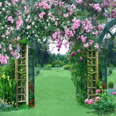 Flowery Door Photography Scenery Backdrop Flowers Theme Banner MNH-051