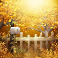 Lovely Fence Photography Scenery Backdrop Nature Theme Banner MNH-053