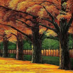 Autumn Trees Photography Scenery Backdrop Nature Theme Banner MNH-054