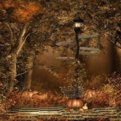 Pumpkins And Light Photography Scenery Backdrop Halloween Theme Banner MNH-056