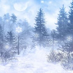 Snowy Road Photography Scenery Backdrop Snow Theme Banner MNH-057