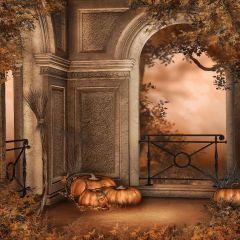 Pumpkins In The Corner Photography Scenery Backdrop Halloween Theme Banner MNH-060