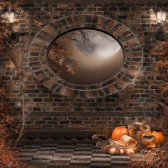 Pumpkins With Moon Photography Scenery Backdrop Halloween Theme Banner MNH-061