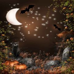 Halloween Night Photography Scenery Backdrop Halloween Theme Banner MNH-062