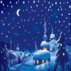 Snowy Village Photography Scenery Backdrop Snow Theme Banner MNH-065